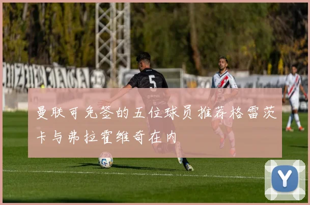 曼联可免签的五位球员推荐格雷茨卡与弗拉霍维奇在内