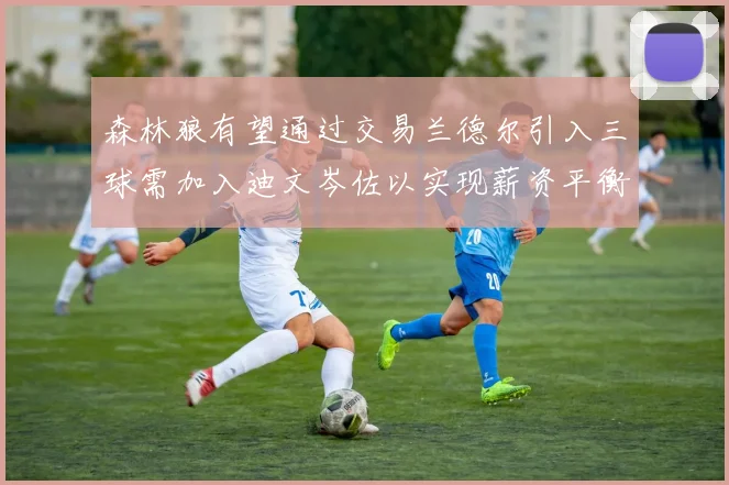 森林狼有望通过交易兰德尔引入三球需加入迪文岑佐以实现薪资平衡