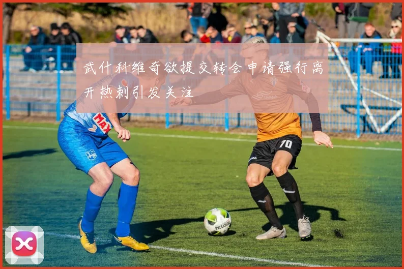 武什科维奇欲提交转会申请强行离开热刺引发关注